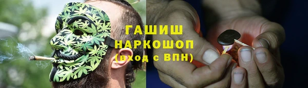 сатива Верхний Тагил