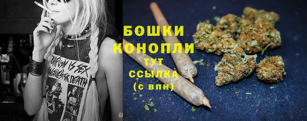 сатива Верхний Тагил