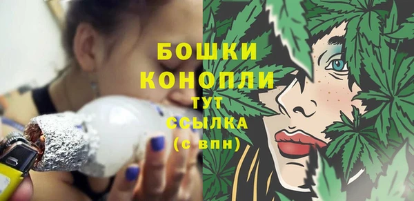 сатива Верхний Тагил