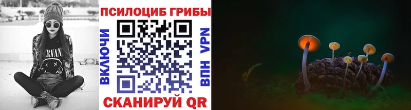 Купить где  Подпорожье  Псилоцибиновые грибы ЛСД 
